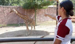 CPB-005-2026.-Ofrece-Comision-de-Parques-Zoo-Visitas-5-850x500