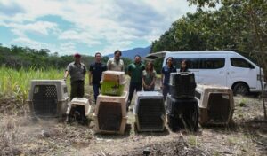 CPB-025-2026.-¡Vuelven-a-la-vida-silvestre-Tamaulipas-libera-especies-tras-rehabilitacion-especializada-6-850x500