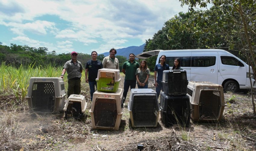 CPB-025-2026.-¡Vuelven-a-la-vida-silvestre-Tamaulipas-libera-especies-tras-rehabilitacion-especializada-6-850x500
